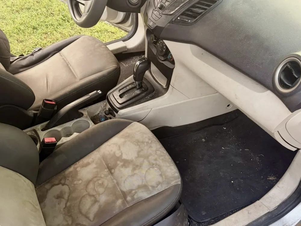 Before: stained cloth seat
